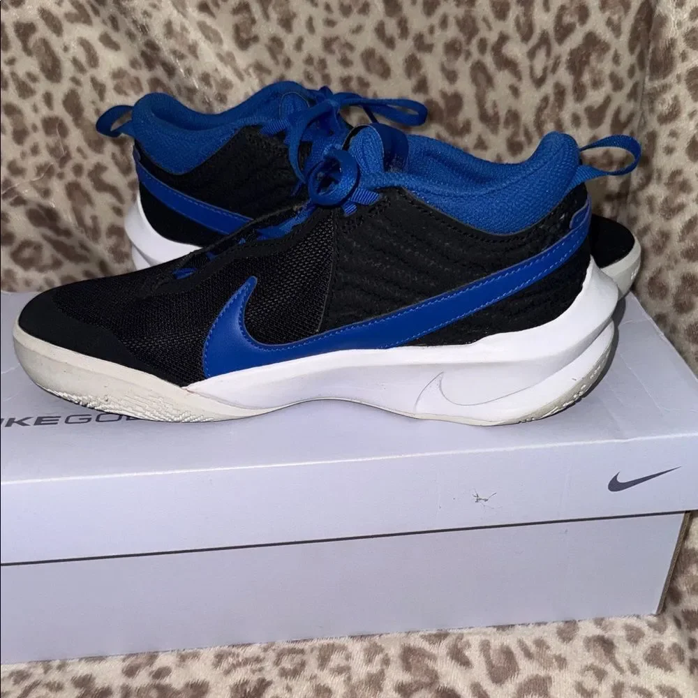 Nike Black & Royal Blue Low-Top Sneakers